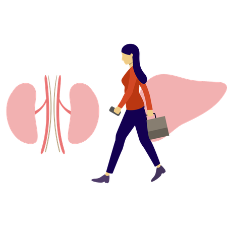 Woman is walking near human liver  Illustration