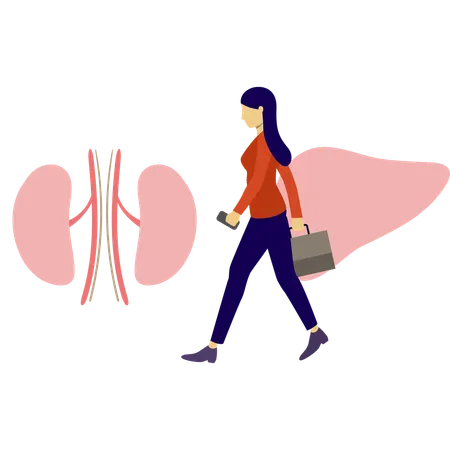 Woman is walking near human liver  Illustration