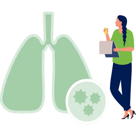 Woman looking at lungs  Illustration