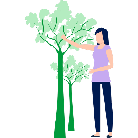 Woman looking at trees  Illustration