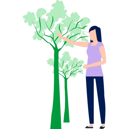 A Girl Is Looking At Trees Illustration