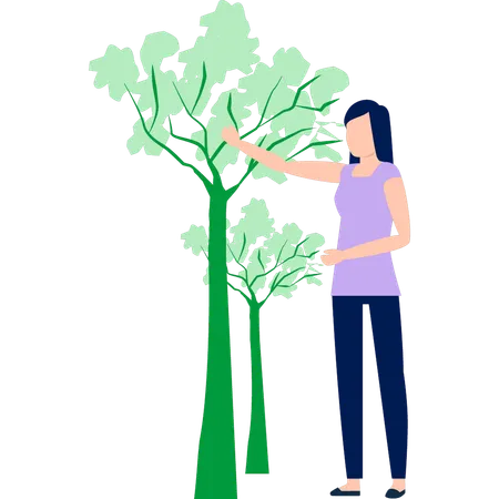 Woman looking at trees  Illustration