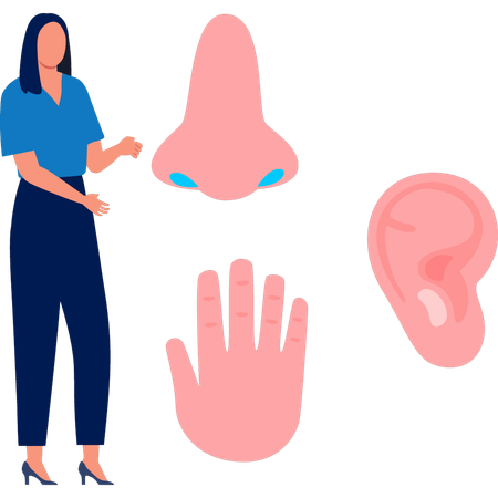 Woman looking human senses  Illustration