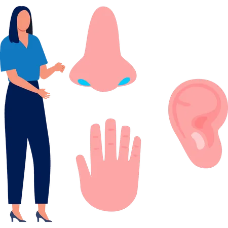 Woman looking human senses  Illustration