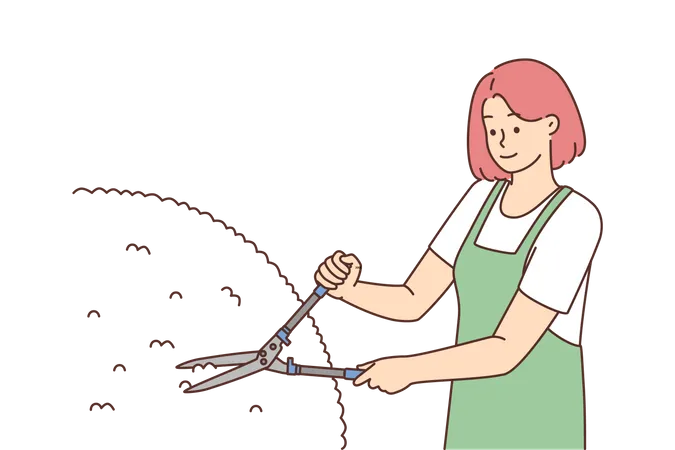 Woman maintaining garden  Illustration