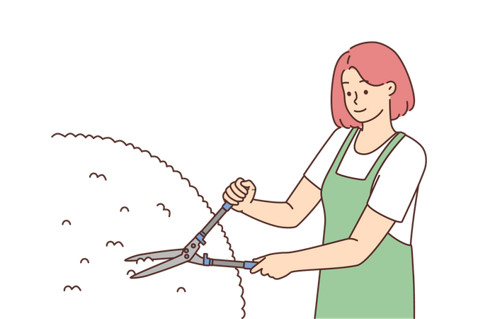 Woman maintaining garden  Illustration