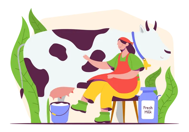 Woman Milking cow  Illustration