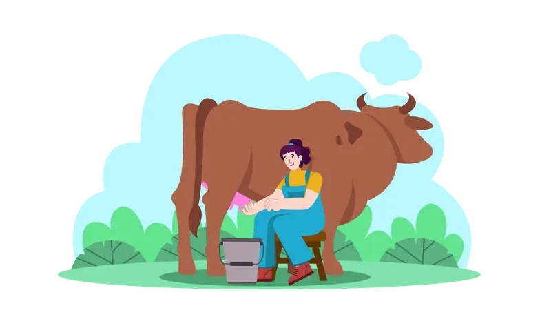 Woman Milking Cow  Illustration