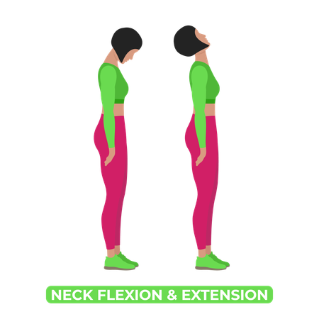 Woman Neck Stretch  Illustration