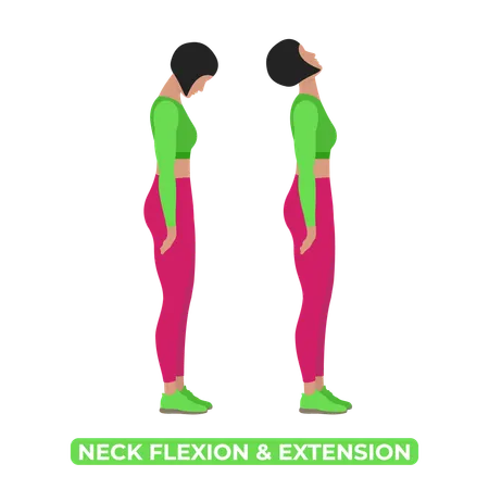 Woman Neck Stretch  Illustration