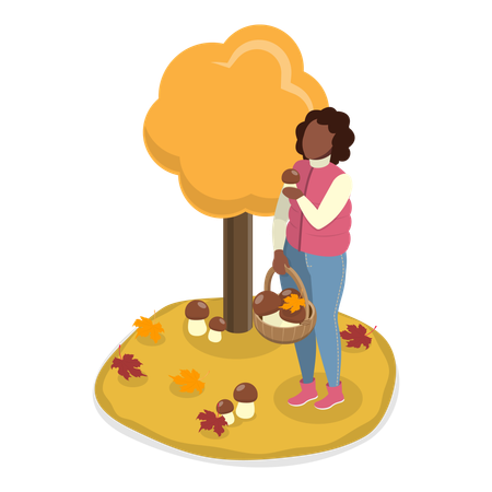 Woman picking mushroom from the forest  Illustration