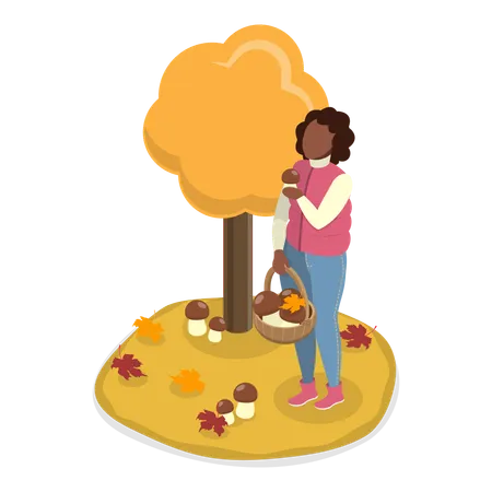 Woman picking mushroom from the forest  Illustration