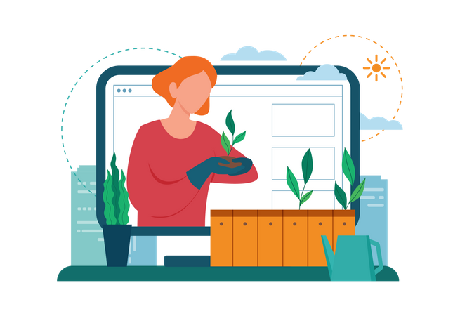 Woman planting and watering the sprout on the roof or balcony  Illustration