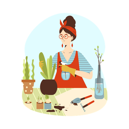 Woman planting indoor house plants in pots  Illustration