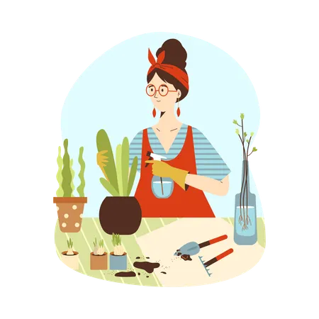 Woman planting indoor house plants in pots  Illustration