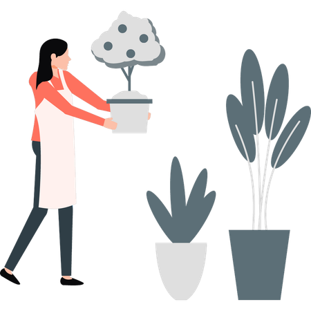 Woman planting seasonal plants  Illustration