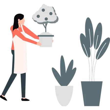 Woman planting seasonal plants  Illustration