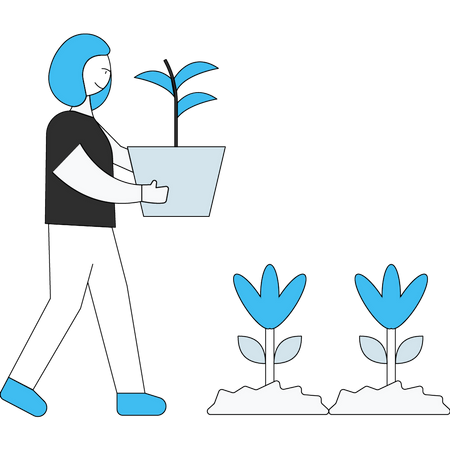 Woman planting tree  Illustration