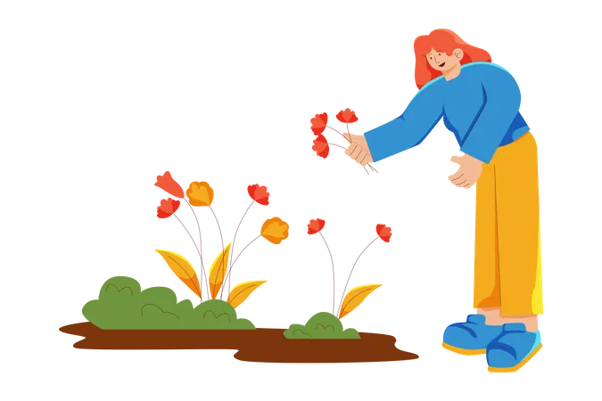 Woman pluck flowers during spring  Illustration