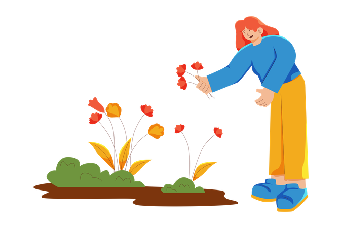 Woman pluck flowers during spring  Illustration