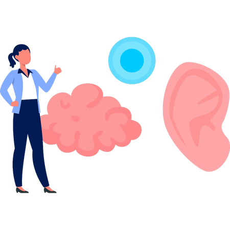 Woman pointing human brain  Illustration