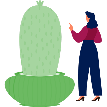 Woman pointing mammillaria plant  Illustration