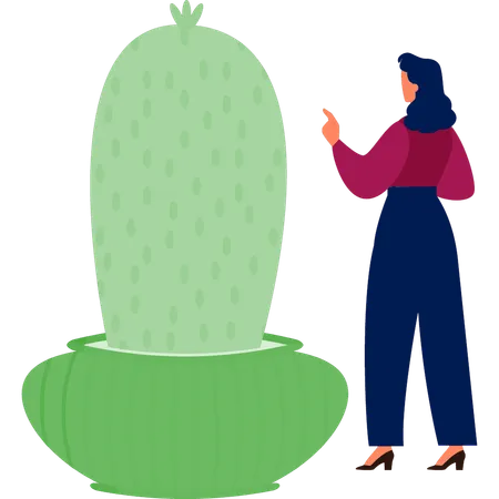 Woman pointing mammillaria plant  Illustration