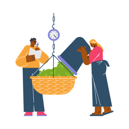 Woman pouring tea leaves into basket on scales and man write down weight  Illustration