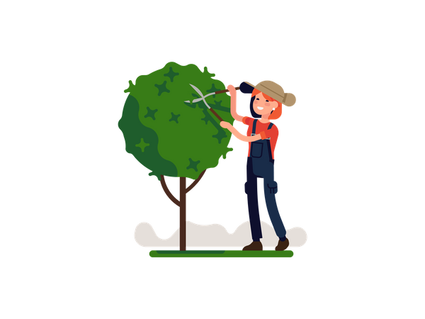 Woman pruning Small tree  Illustration