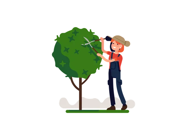 Woman pruning Small tree  Illustration