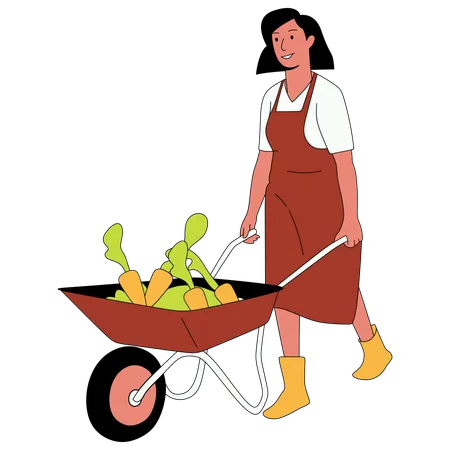 Woman pushing garden cart  Illustration