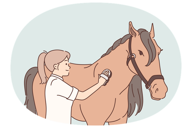 Woman rider takes care of thoroughbred horse by combing animal mane before important races  Illustration