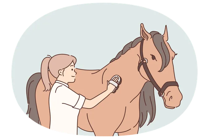 Woman rider takes care of thoroughbred horse by combing animal mane before important races  Illustration