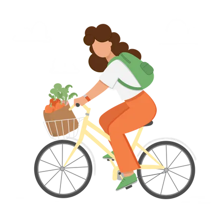 Woman riding bicycle with vegetables  Illustration