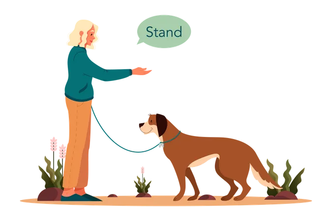 Woman saying dog to stand Illustration