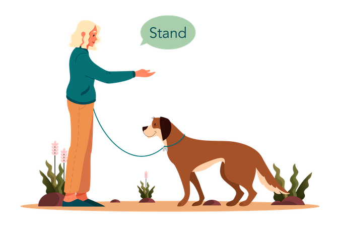 Woman saying dog to stand  Illustration