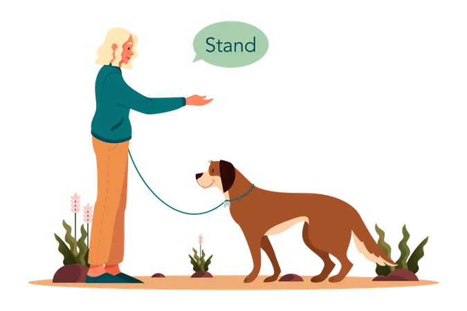 Woman saying dog to stand  Illustration