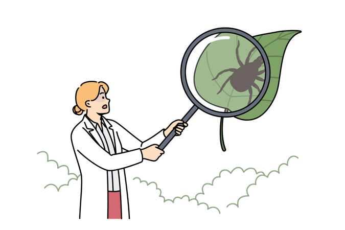 Woman scientist studies encephalitic ticks  Illustration