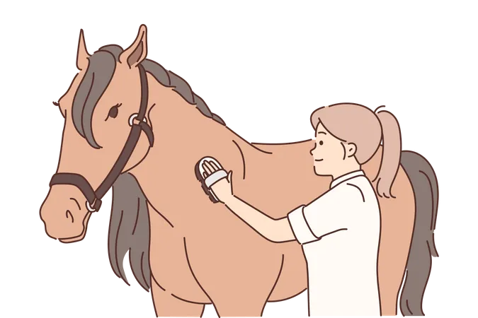 Woman scrapping brush on horse skin  Illustration
