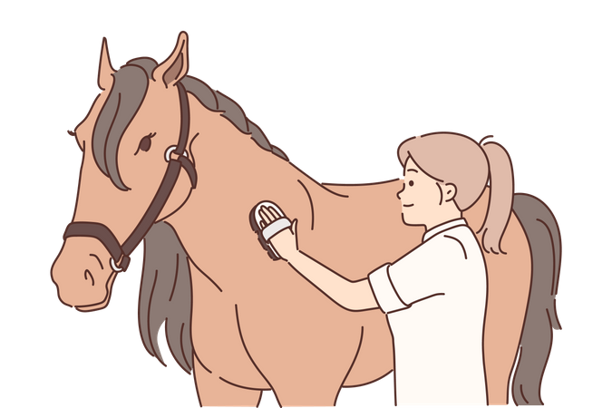 Woman scrapping brush on horse skin  Illustration