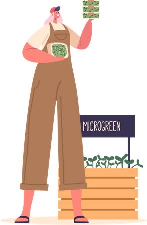 Woman Sells Microgreens  Illustration
