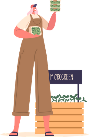 Woman Sells Microgreens  イラスト