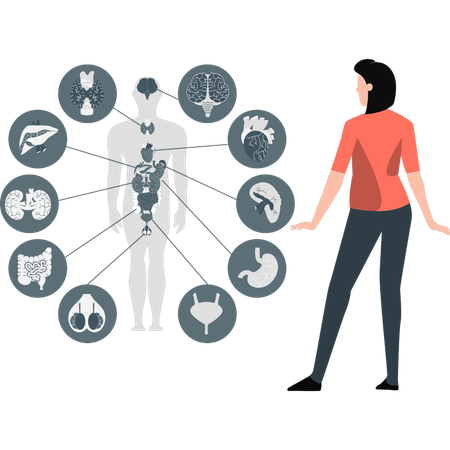 Woman showing human respiratory system  Illustration