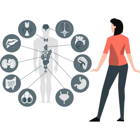 Woman showing human respiratory system  Illustration