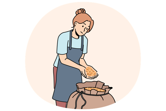 Woman standing near bag of malt for production of craft beer and collects hop grains in palms  Illustration