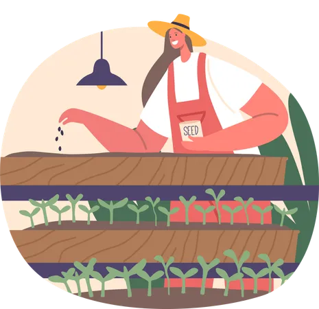 Woman Tending To Vibrant Microgreens On Orderly Shelves  Illustration