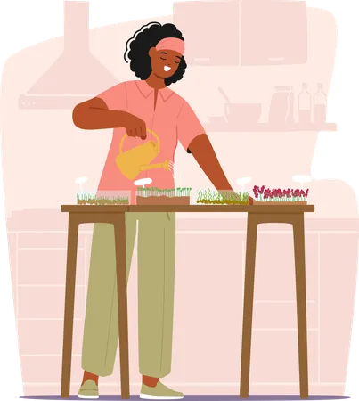 Woman Tends To Her Kitchen Microgreens Nurturing Tiny Shoots With Care Bringing Freshness And Vitality To Her Cooking  Illustration