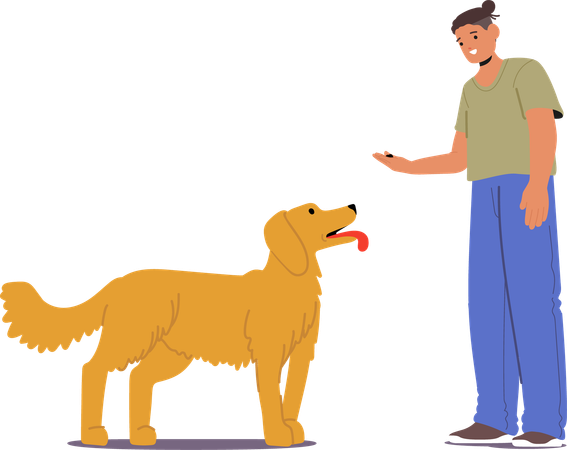 Woman training dog by giving command  Illustration