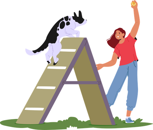 Woman training dog in agility course  Illustration