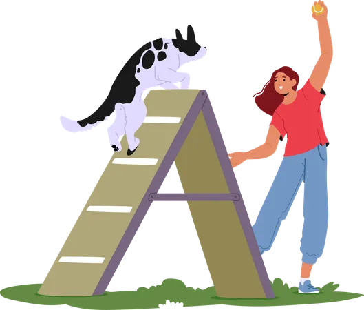 Woman training dog in agility course  Illustration